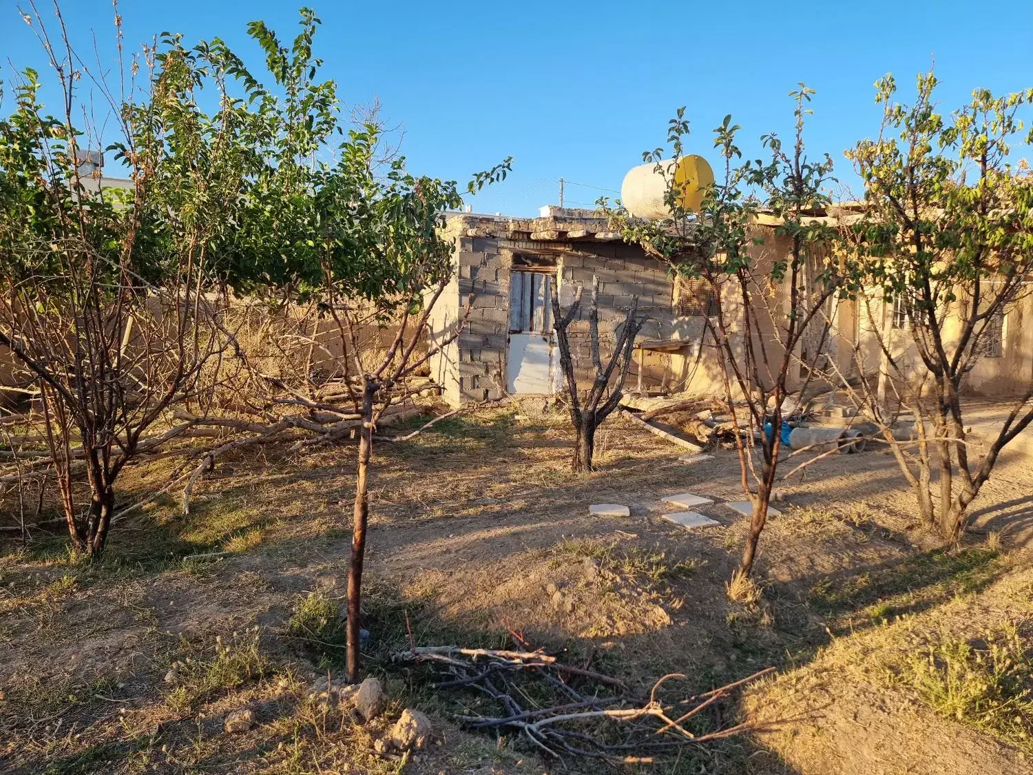 باغ.شاهرود، روستای مغان.جهت سرمایه گذاری|فروش زمین و ملک کلنگی|شاهرود, |دیوار