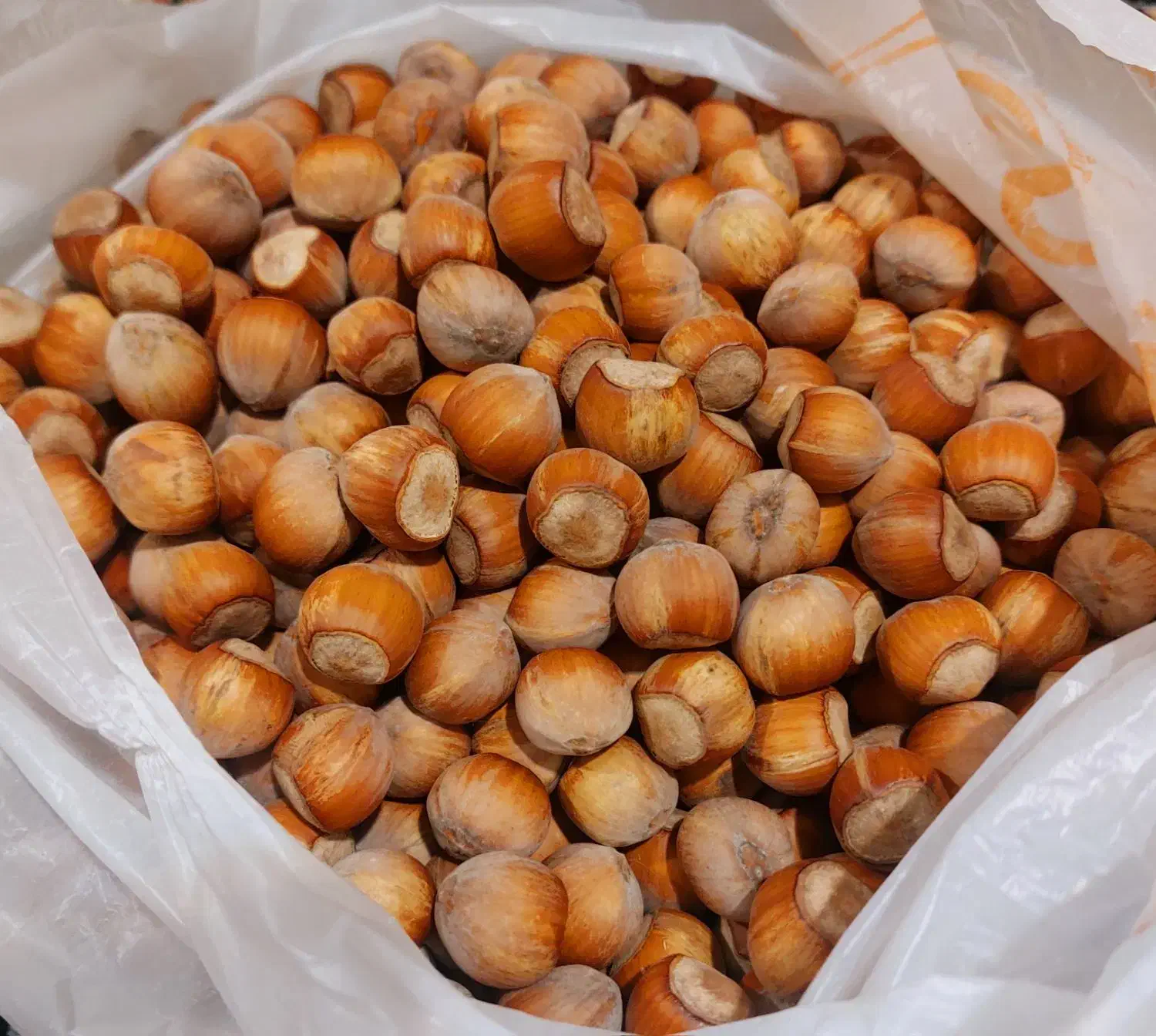 فندق درجه یک الموت قزوین|خوردنی و آشامیدنی|قم, شهرک قدس|دیوار