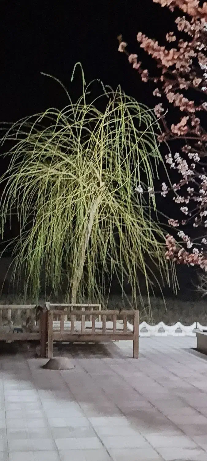 اجاره باغ ویلا استخر آب گرم|اجارهٔ کوتاهمدت ویلا و باغ|پیر بکران, |دیوار