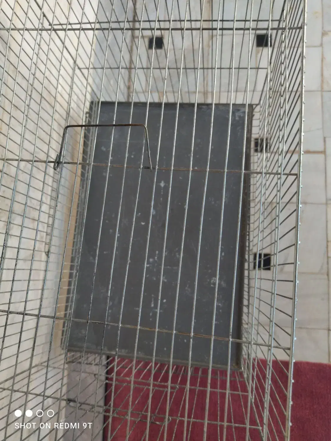 قفس|لوازم جانبی حیوانات|قم, نیروگاه|دیوار
