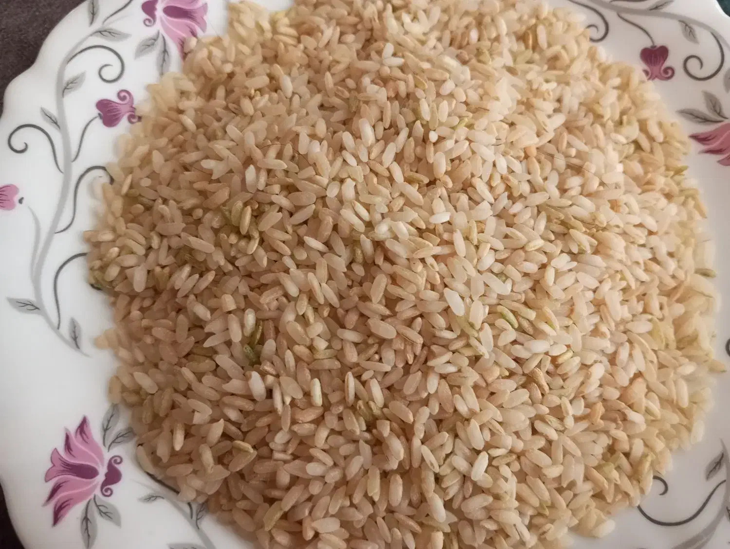 برنج چمپا کامفیروزی|خوردنی و آشامیدنی|یاسوج, |دیوار