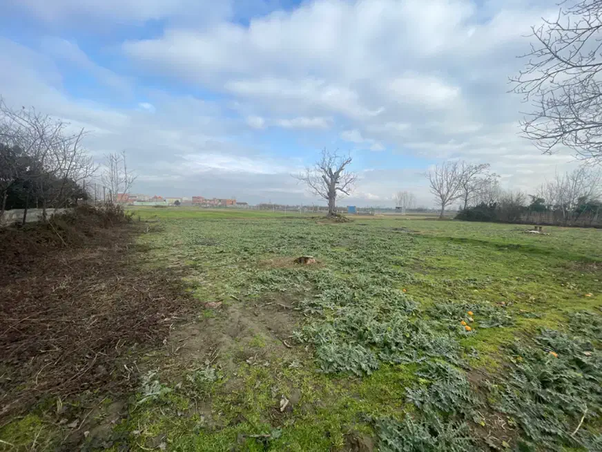 فروش زمین ۴۲۰ متری مازندران|فروش زمین و ملک کلنگی|جویبار, |دیوار