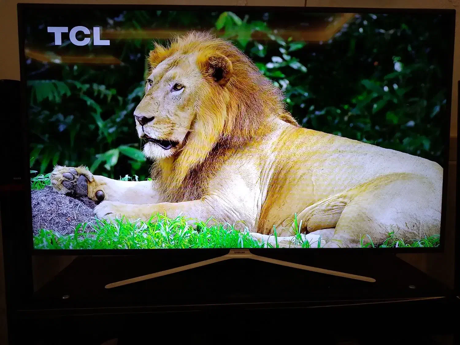 تلویزیون ۵۵ سامسونگ|تلویزیون و پروژکتور|نیشابور, دارایی|دیوار