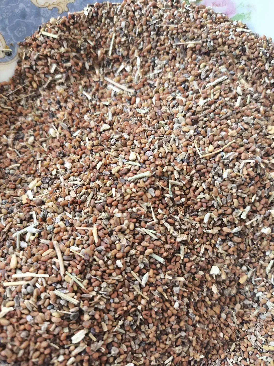 بذر یونجه درجه 3|عمدهفروشی|بناب, |دیوار