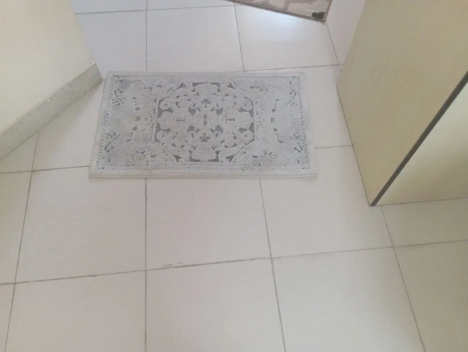 فرش پتینه ای  ۶ متری و پادری|فرش|بومهن, |دیوار