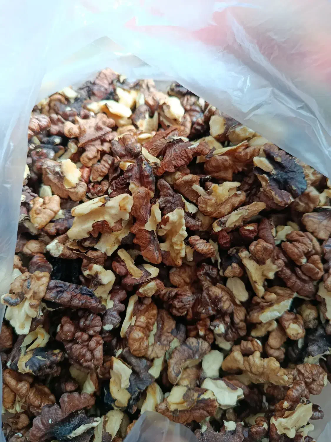 مغز گردو فسنجونی|خوردنی و آشامیدنی|اصفهان, لاله|دیوار