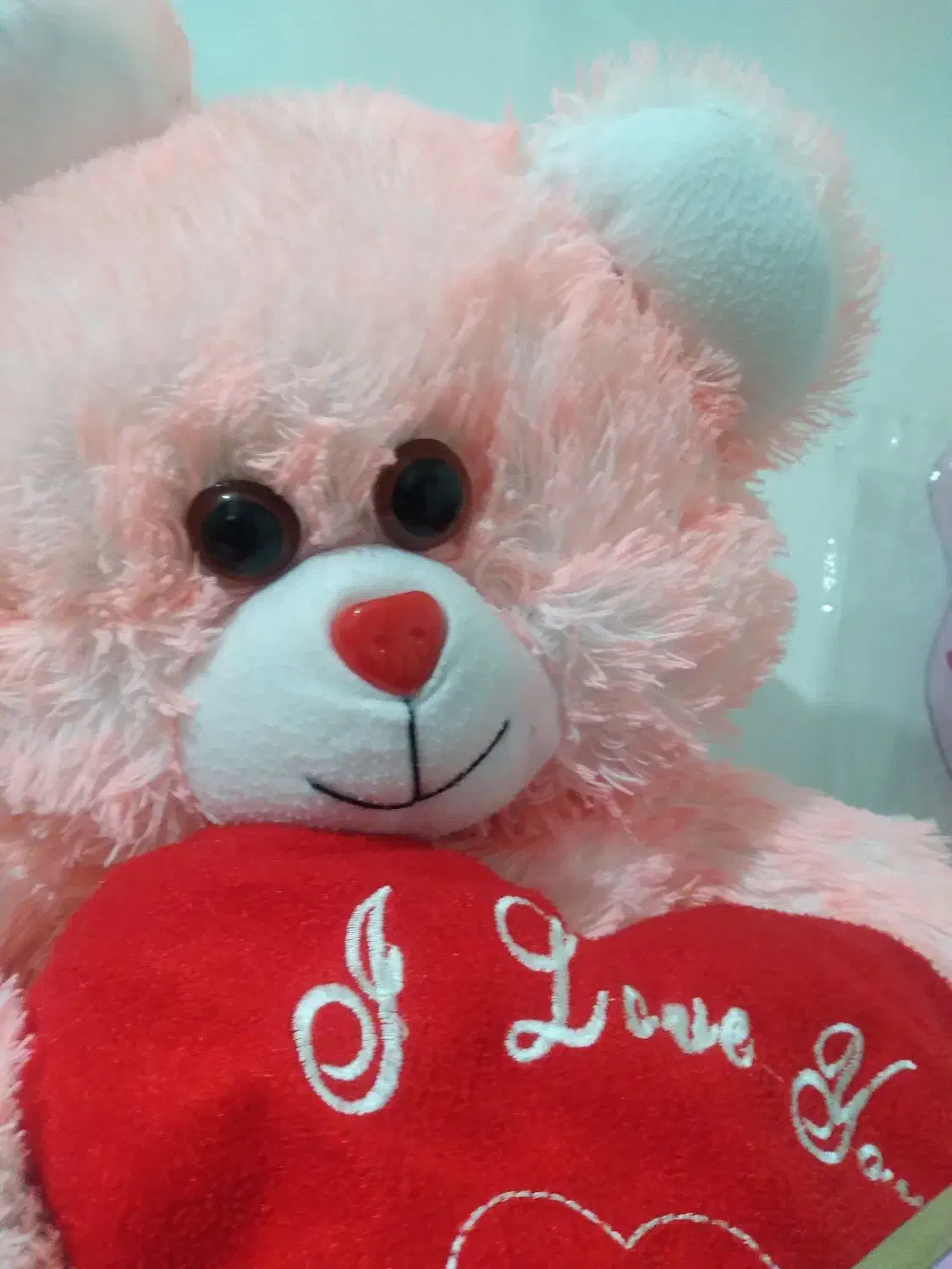 عروسک خرسی بزرگ|اسباب‌بازی بچه|پاکدشت, پاکدشت (مامازند)|دیوار