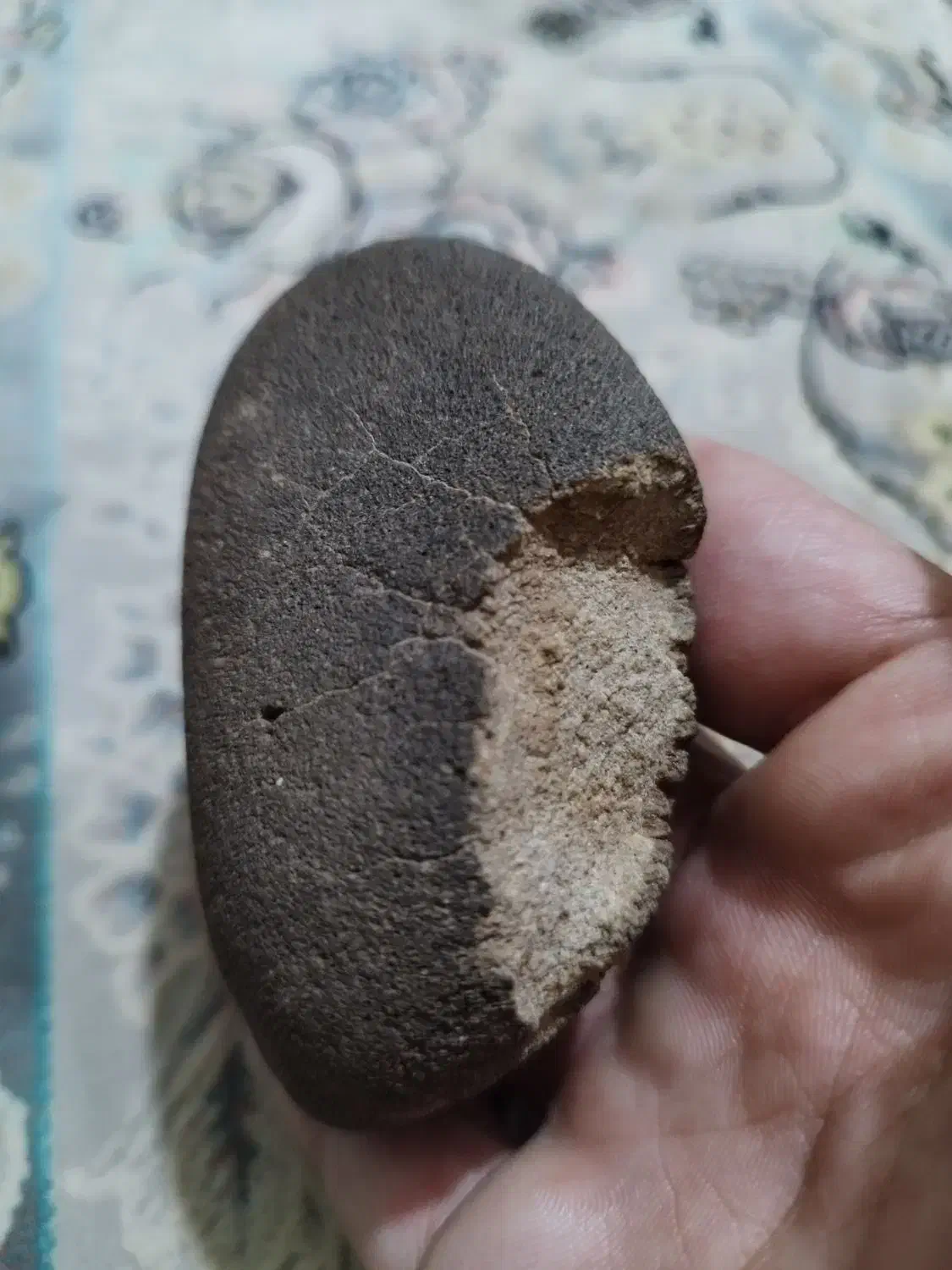 شهابسنگ یوکریت سنگی|کلکسیون اشیاء عتیقه|قم, ولیعصر|دیوار