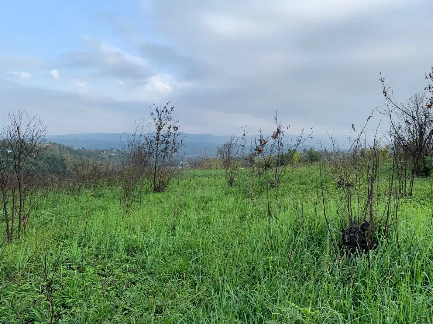 بهشت|فروش زمین و ملک کلنگی|اطاقور, |دیوار