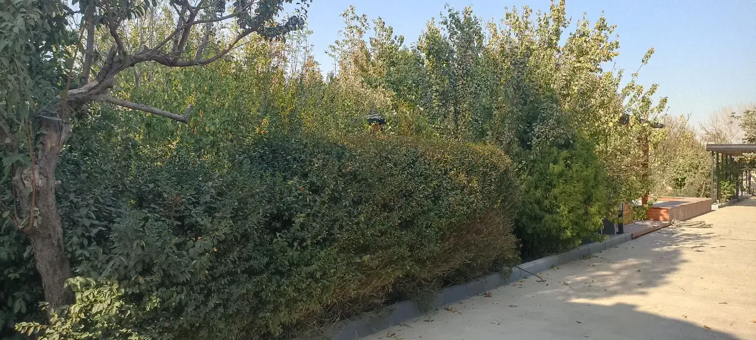 باغ ۱۵۰۰ متر در شهریار لم آباد|فروش خانه و ویلا|تهران, گیشا|دیوار