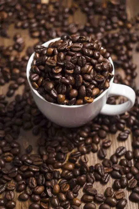 فروش دان قهوه روبستا و عربیکا با نازل ترین قیمت|خوردنی و آشامیدنی|تهران, تجریش|دیوار