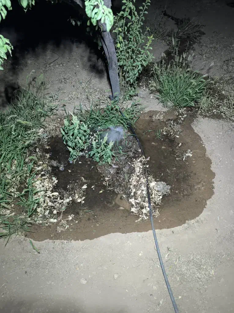 1000متر زمین کشاورزی|فروش زمین و ملک کلنگی|شاهینشهر, بوستان حافظ|دیوار