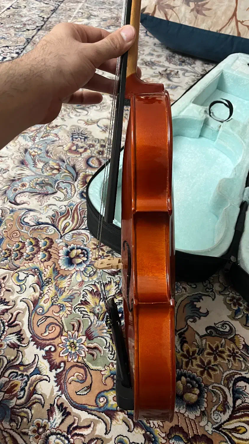 ویولن رناتو|ویولن|تهران, باغ فیض|دیوار