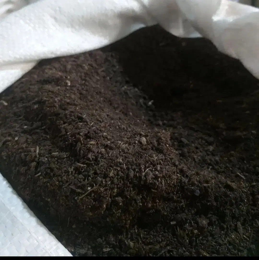 کود حیوانی ورمی کمپوست تحویل بار عمده رایگان|خدمات باغبانی و درختکاری|رشت, دباغیان|دیوار