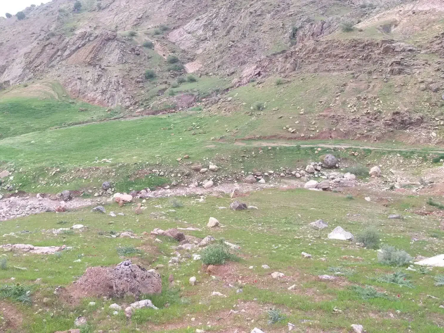 تور|تور و چارتر|خرمآباد, |دیوار