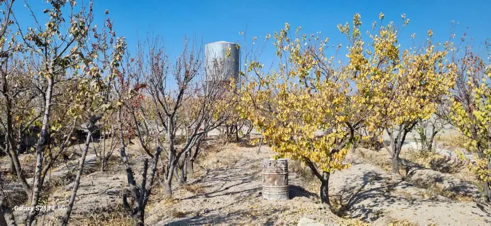 باغچه|فروش زمین و ملک کلنگی|رباط‌کریم, انجم آباد|دیوار