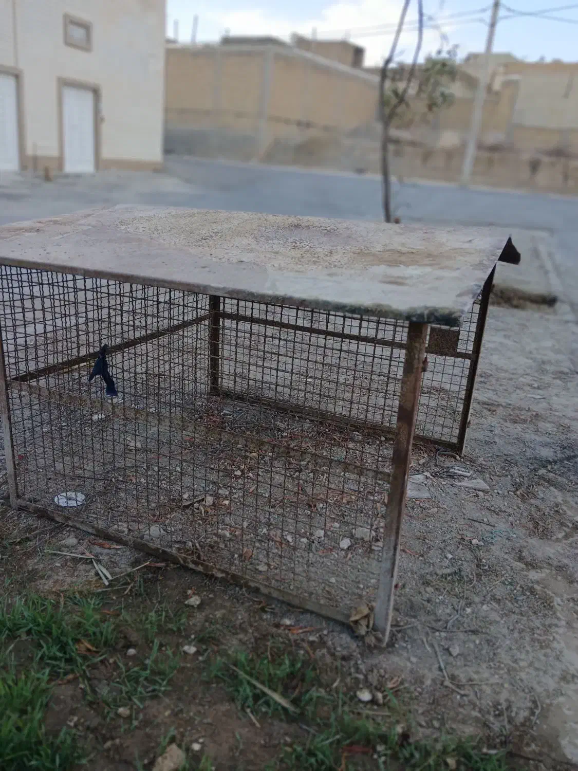 قفس بزرگ|لوازم جانبی حیوانات|کازرون, |دیوار