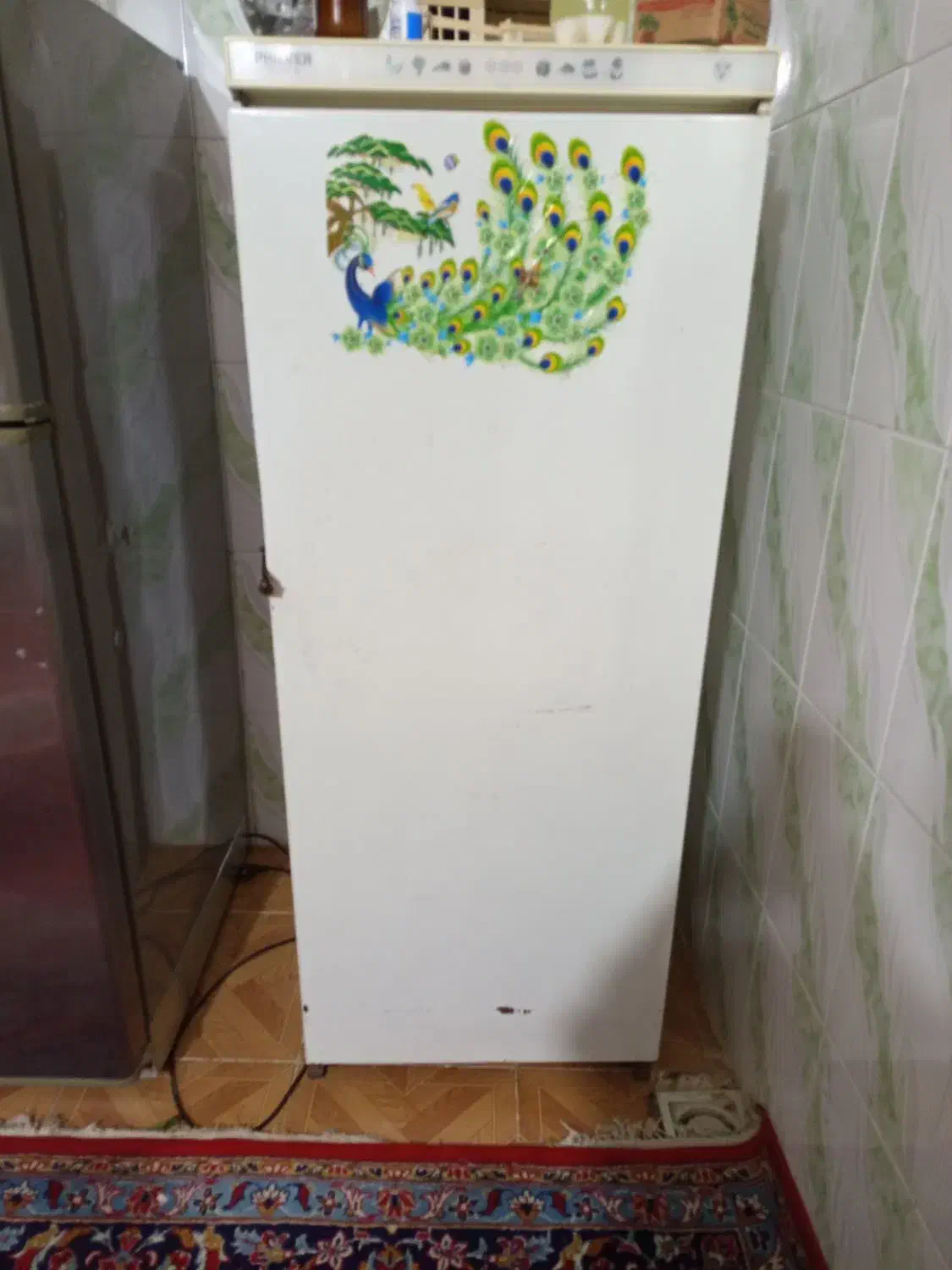 دو عدد یخچال|یخچال و فریزر|اهواز, کوی علوی|دیوار