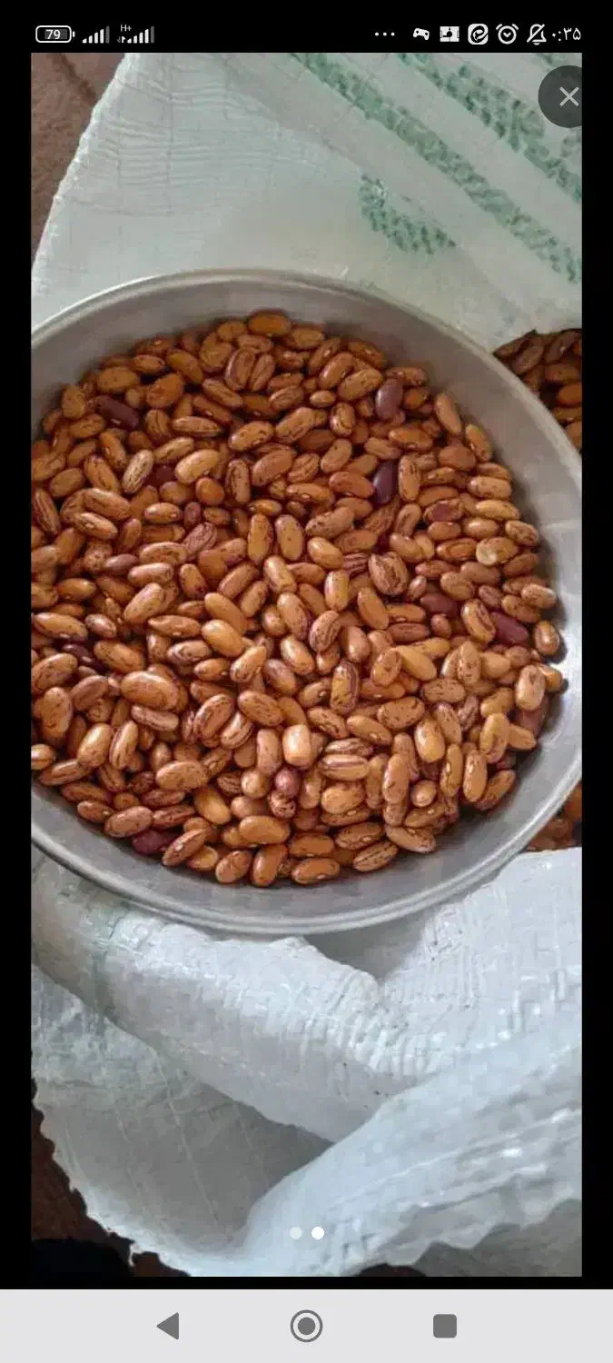 لوبیا چیتی رستوران ها و فروشندگان|خوردنی و آشامیدنی|عسلویه, |دیوار