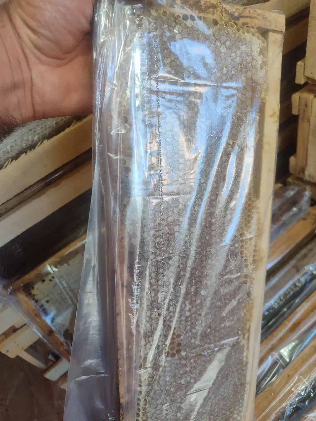 عسل  بدون یک ذره ناخالصی|خوردنی و آشامیدنی|مشگین شهر, |دیوار