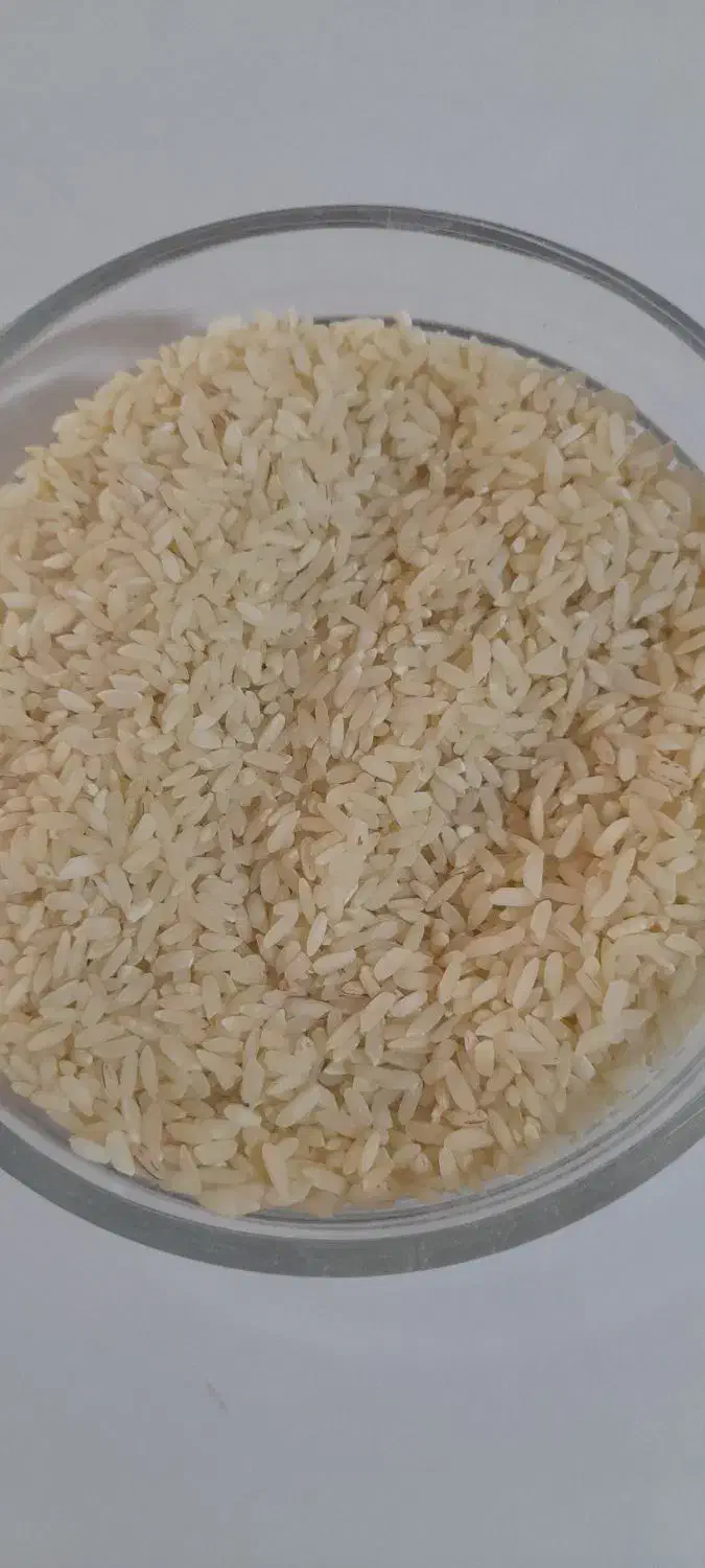 برنج سوسن|خوردنی و آشامیدنی|ایذه, |دیوار