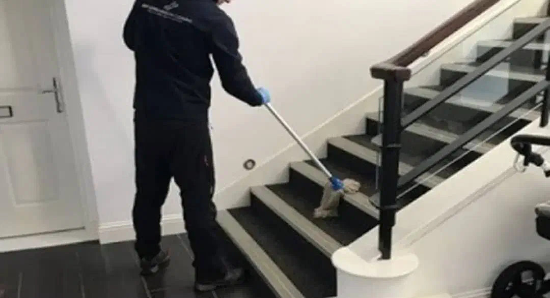 نظافت جادوی پاکیزگی در خدمت شماست|خدمات نظافت|آمل, |دیوار