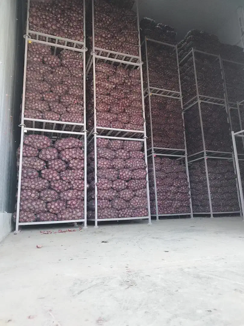 همکاری با صادرات و سرمایه گذاران پیاز لوکس بناب|خوردنی و آشامیدنی|بناب, |دیوار