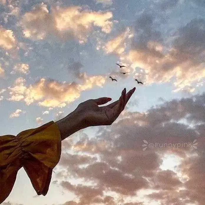 گمشده|اشیا|شیراز, شهرک کوشکک|دیوار