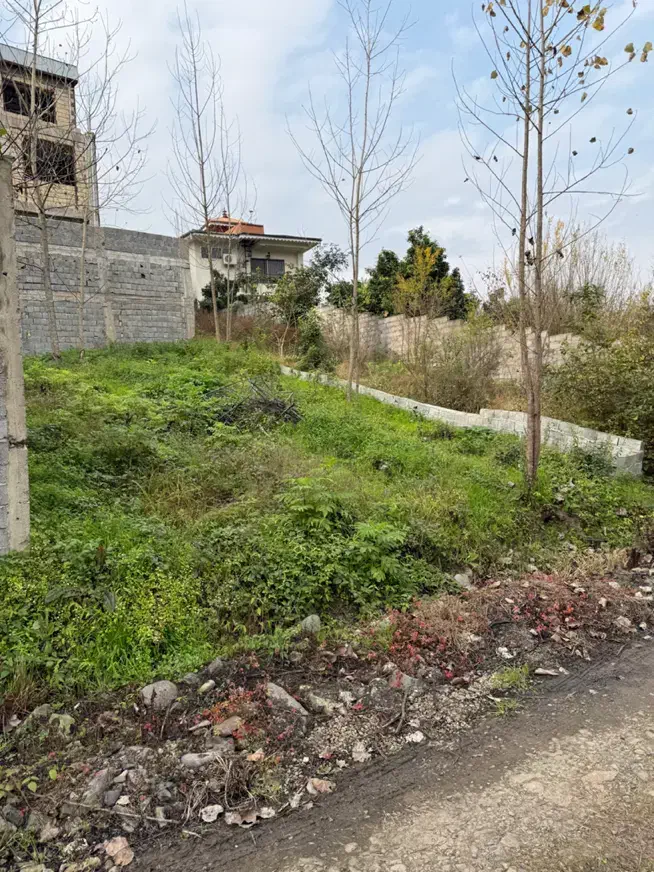 زمین ۱۴۰ متری کتشال پایین مسکونی|فروش زمین و ملک کلنگی|لاهیجان, کوه بیجار|دیوار