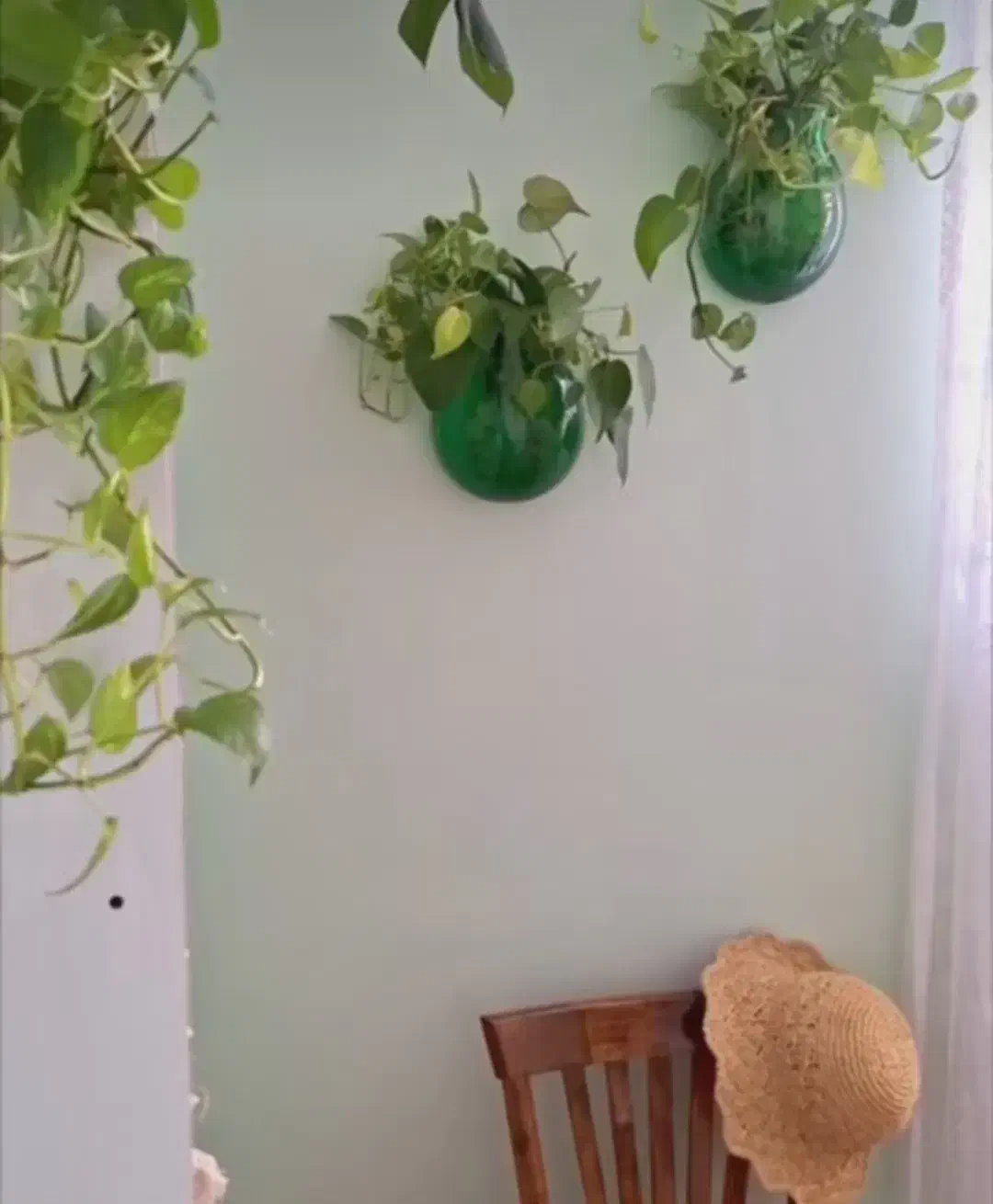 گلدان دیواری|گل مصنوعی|فردیس, قریشی|دیوار