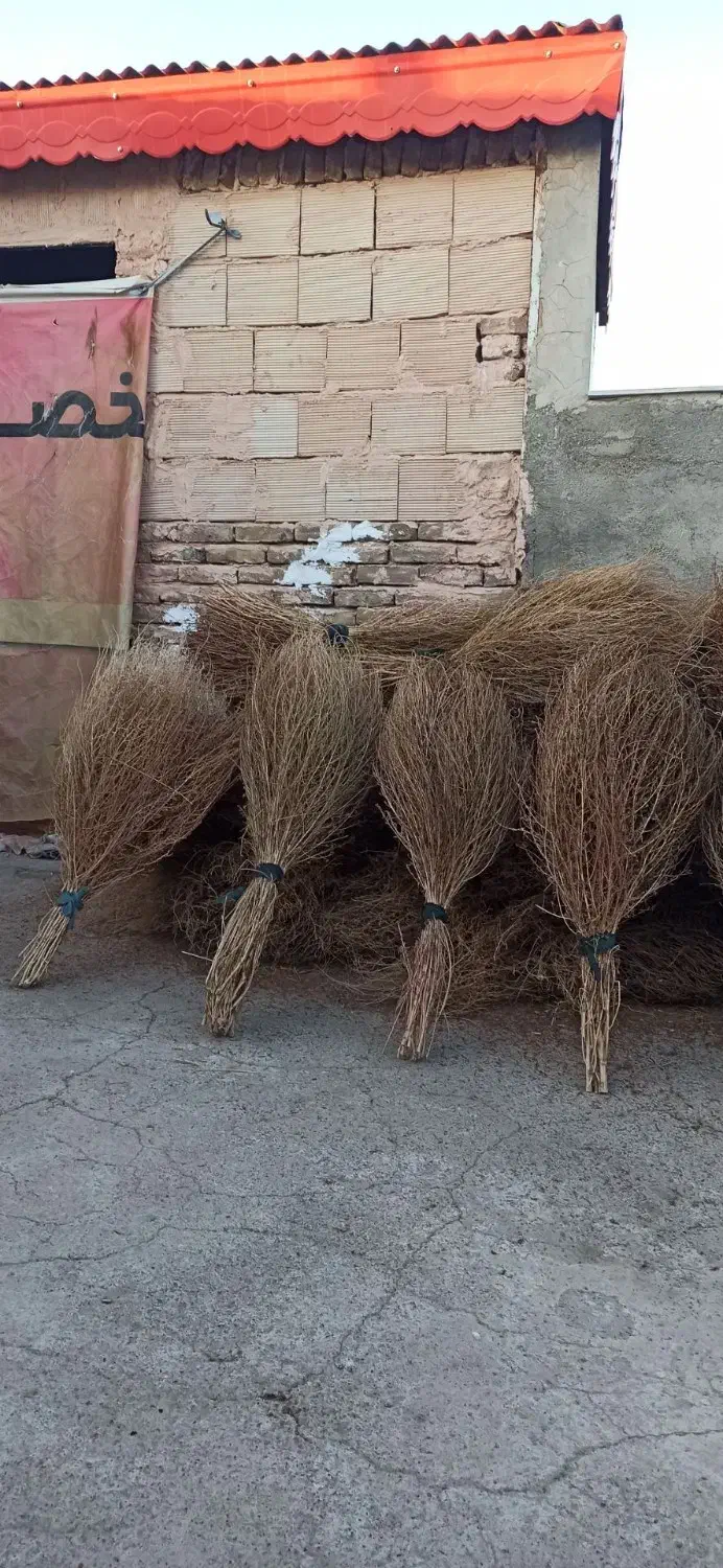 نظافت|لوازم نظافت|سبزوار, شرق کال میانی|دیوار