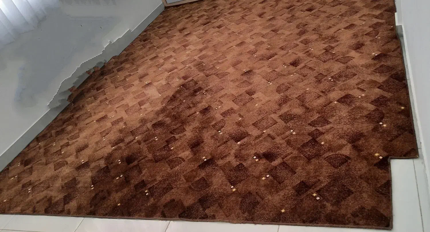 موکت(پالاز)|موکت|مریوان, |دیوار