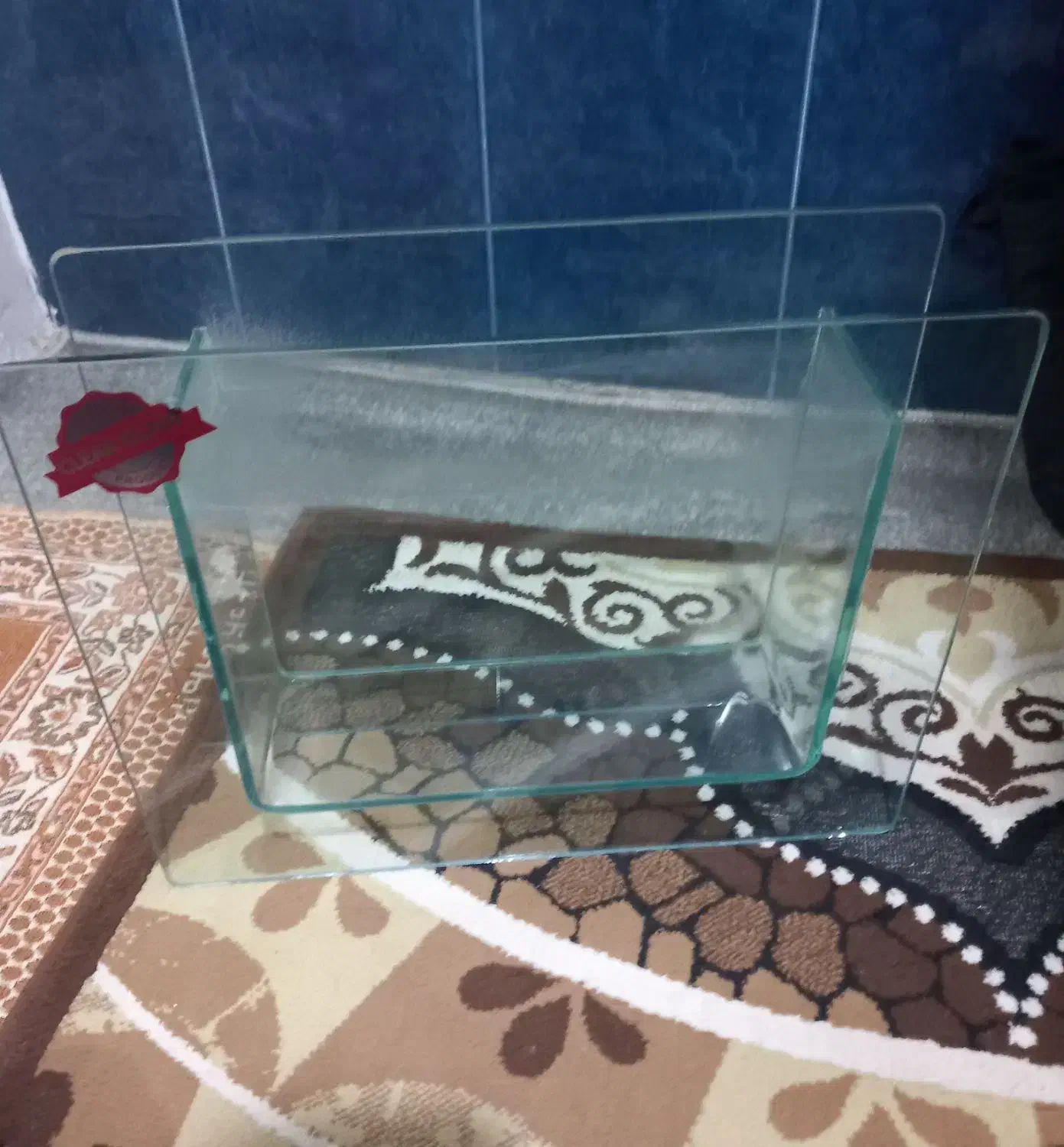 آکواریوم‌ محکم|ماهی|تهران, کیانشهر|دیوار