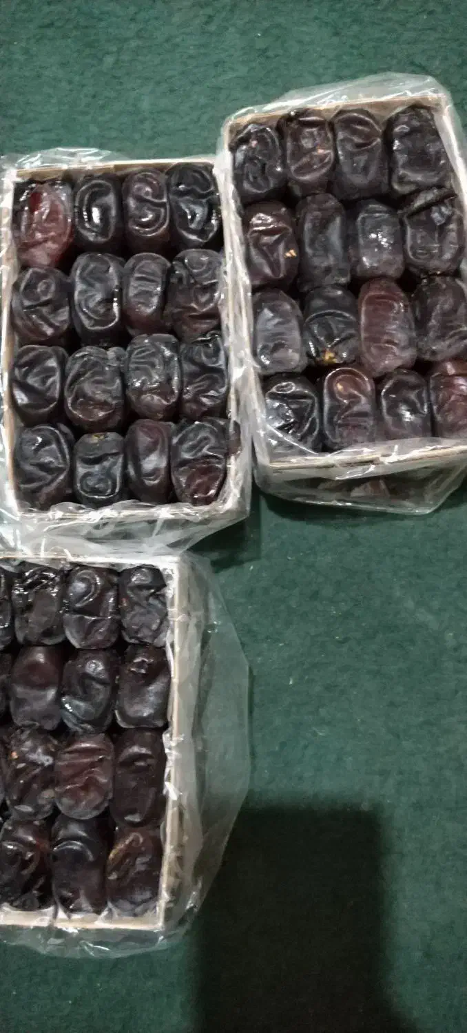 خرما مضافتی|خوردنی و آشامیدنی|ریگان, |دیوار