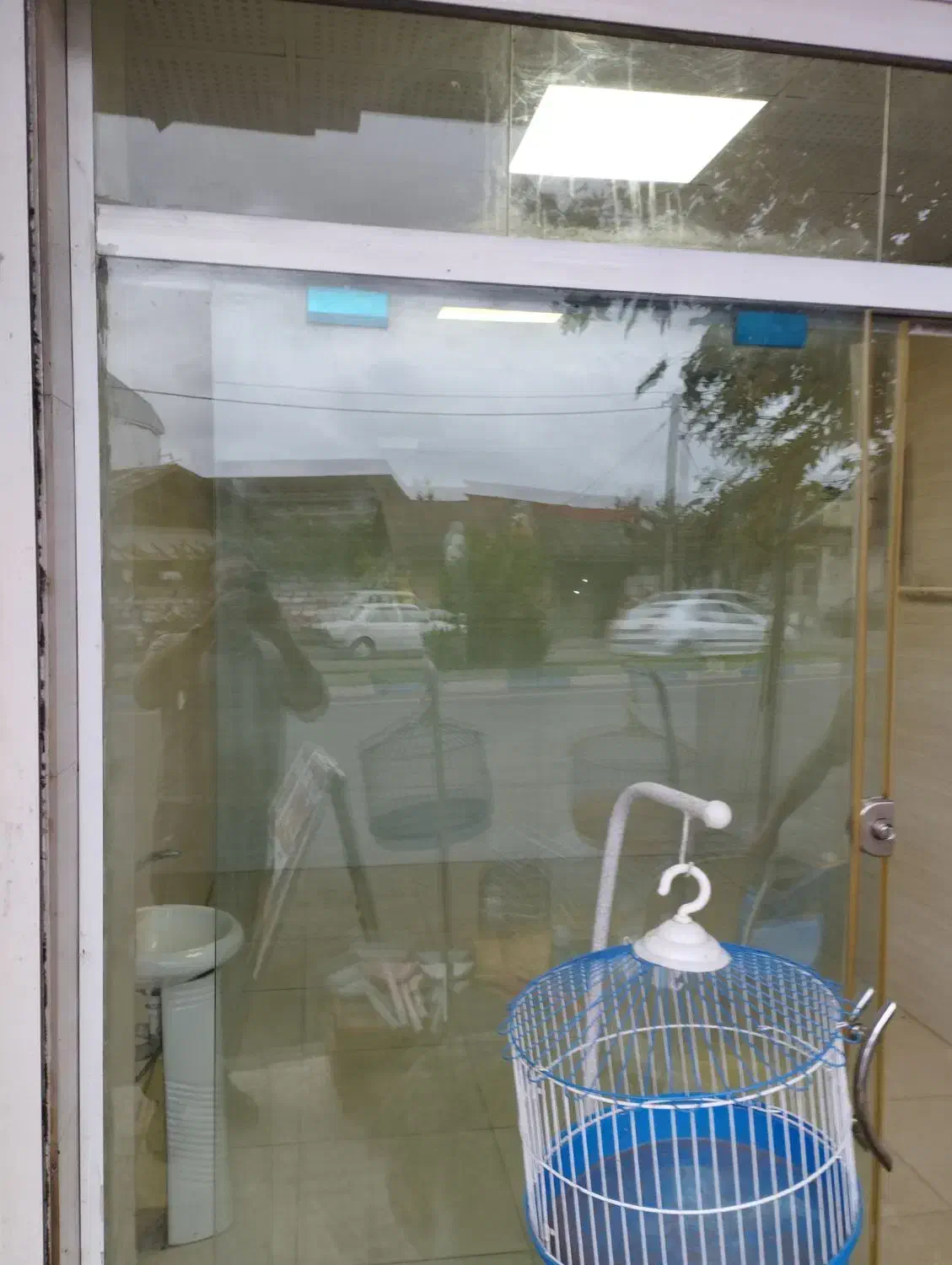 اجاره مغازه حدودا بیست متری|اجارهٔ مغازه و غرفه|املش, |دیوار