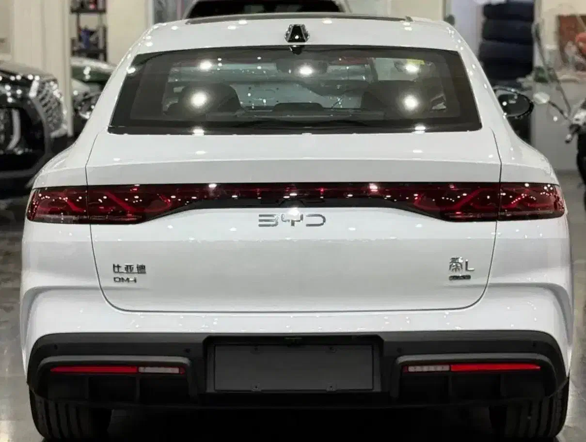 بی وای دی چین ال/باچشم خدا2025|خودرو سواری و وانت|تهران, علیآباد|دیوار