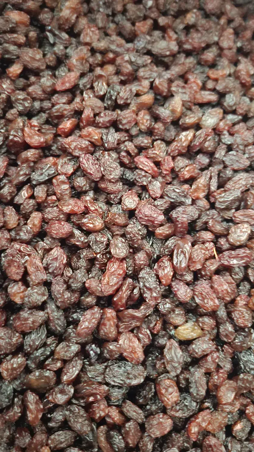 فروش انواع کشمش طلایی خرمایی|خوردنی و آشامیدنی|ابهر, |دیوار