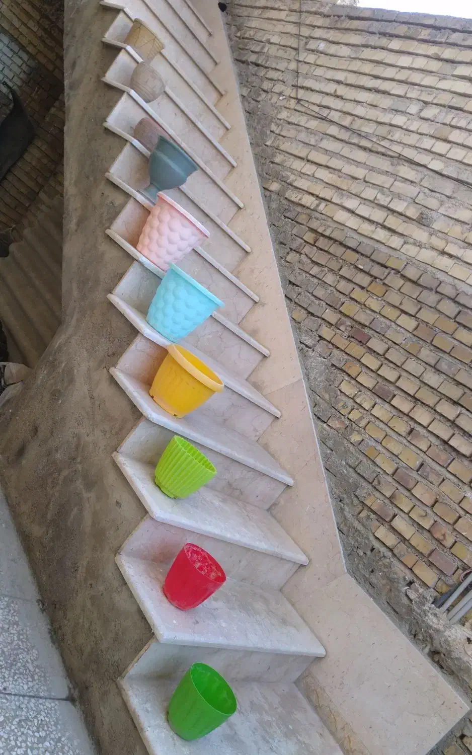 تعدای گلدان سفالی و پلاستیکی سالم و تمیز|گل و گیاه طبیعی|گنبد کاووس, |دیوار