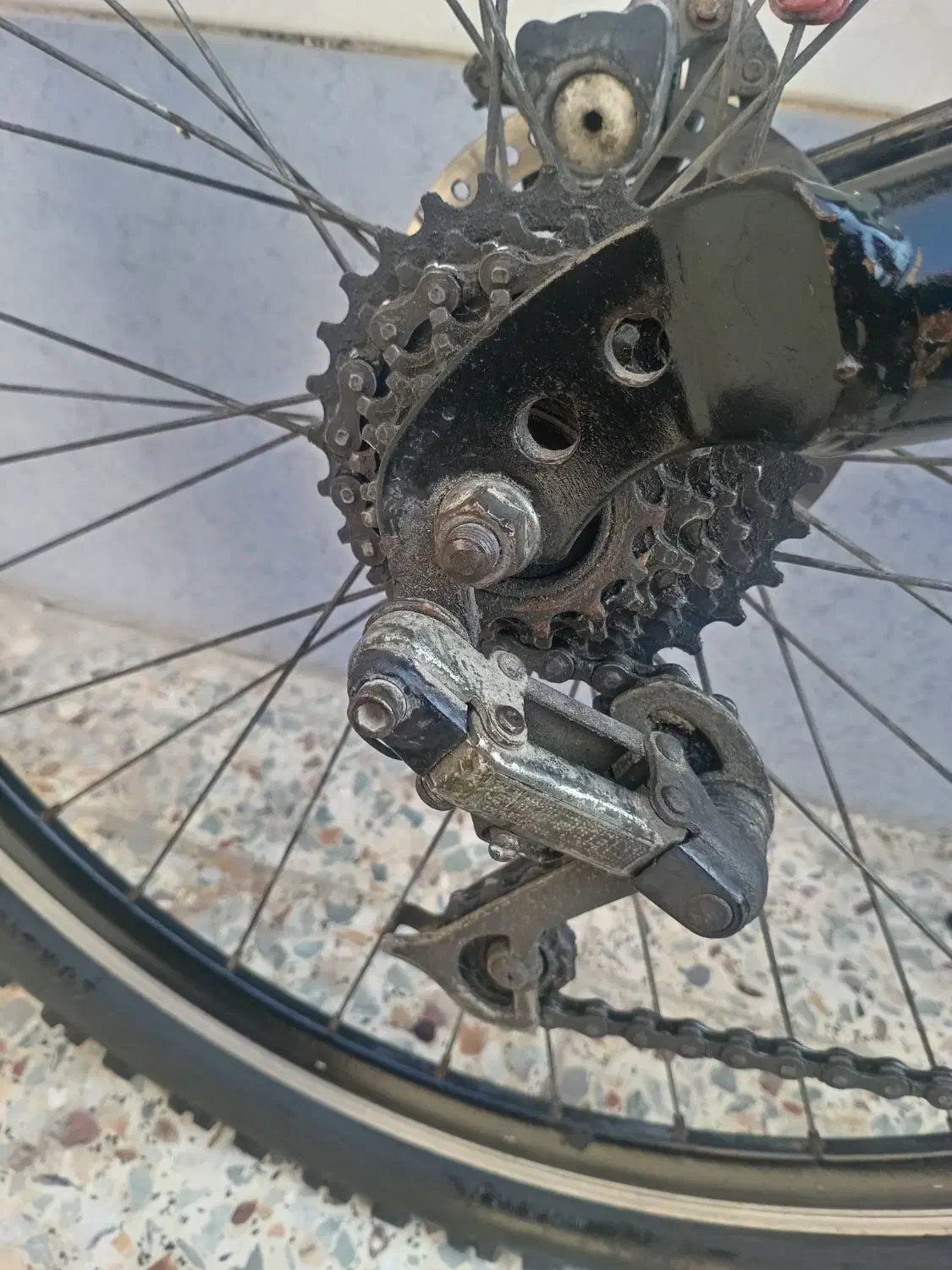 دوچرخه 26سالم|دوچرخه، اسکیت، اسکوتر|برازجان, |دیوار