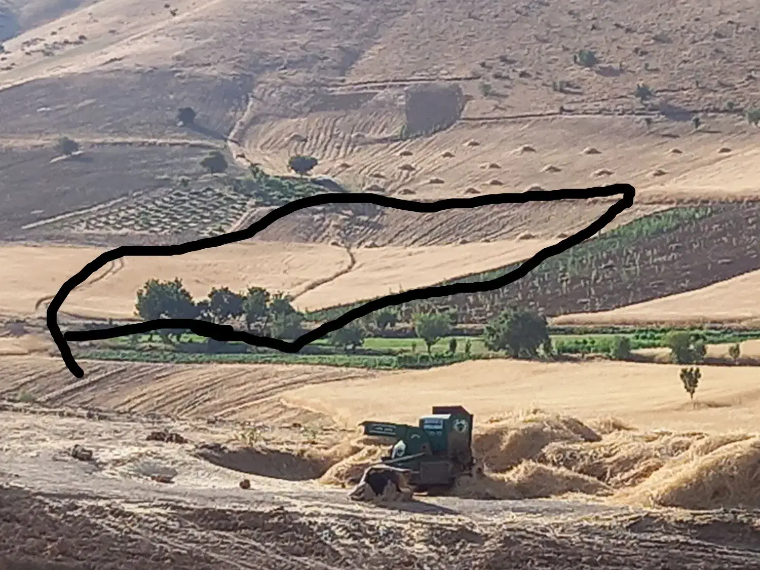 زمین کشاورزی|فروش زمین و ملک کلنگی|سقز, |دیوار