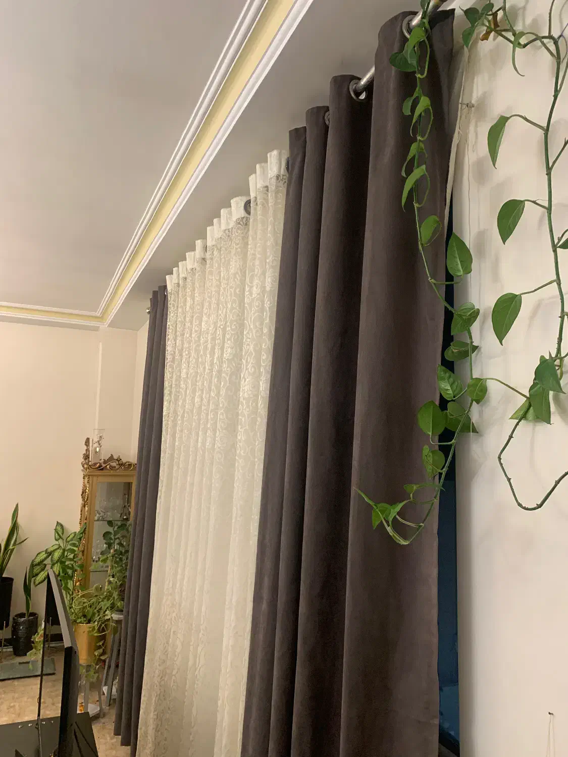 پرده پذیرایی درحدنو|پرده، رانر، رومیزی|پردیس, فاز ۸|دیوار