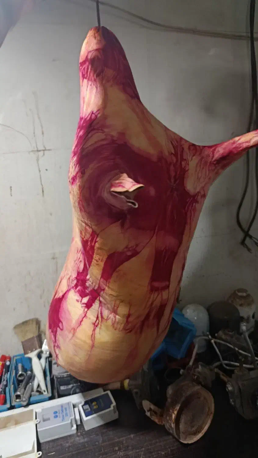 نی انبان|سازهای سنتی|برازجان, |دیوار