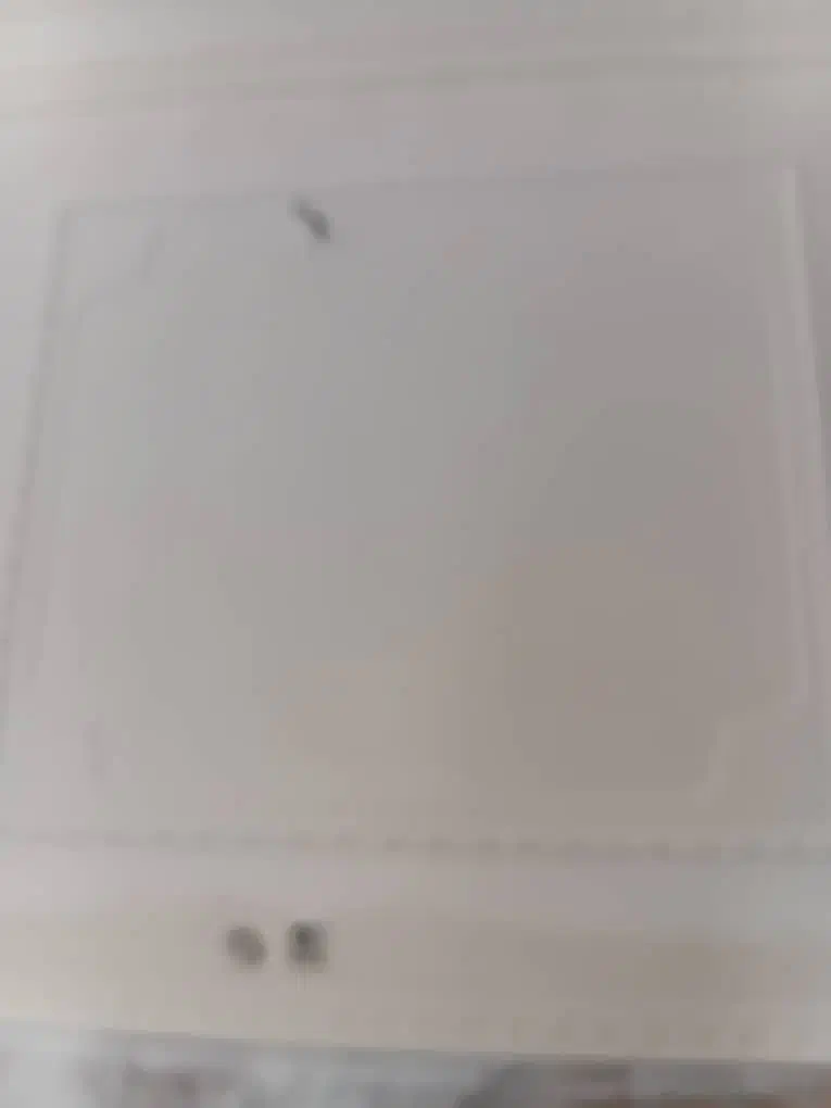 گچکاری لکه کاری|خدمات پیشه و مهارت|زاهدان, |دیوار