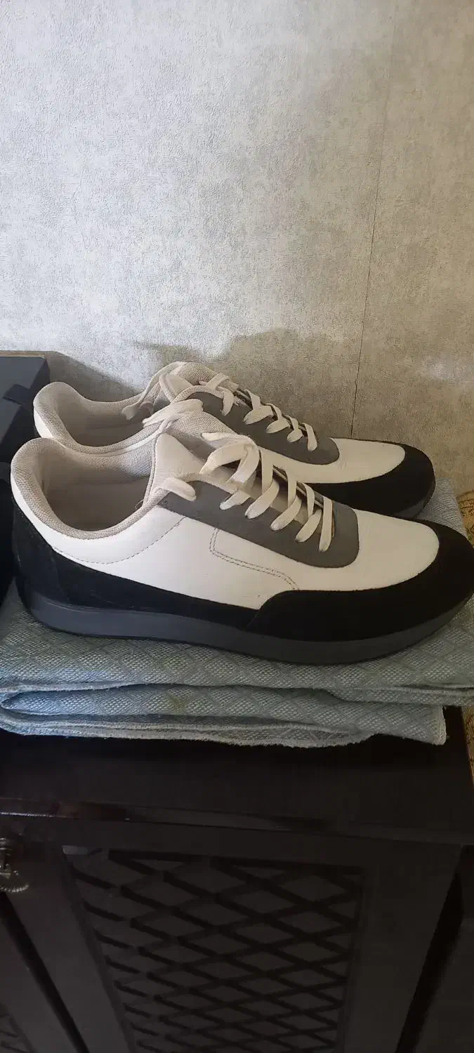 کتانی سایز۴۰|کیف، کفش، کمربند|پرند, فاز ۵|دیوار