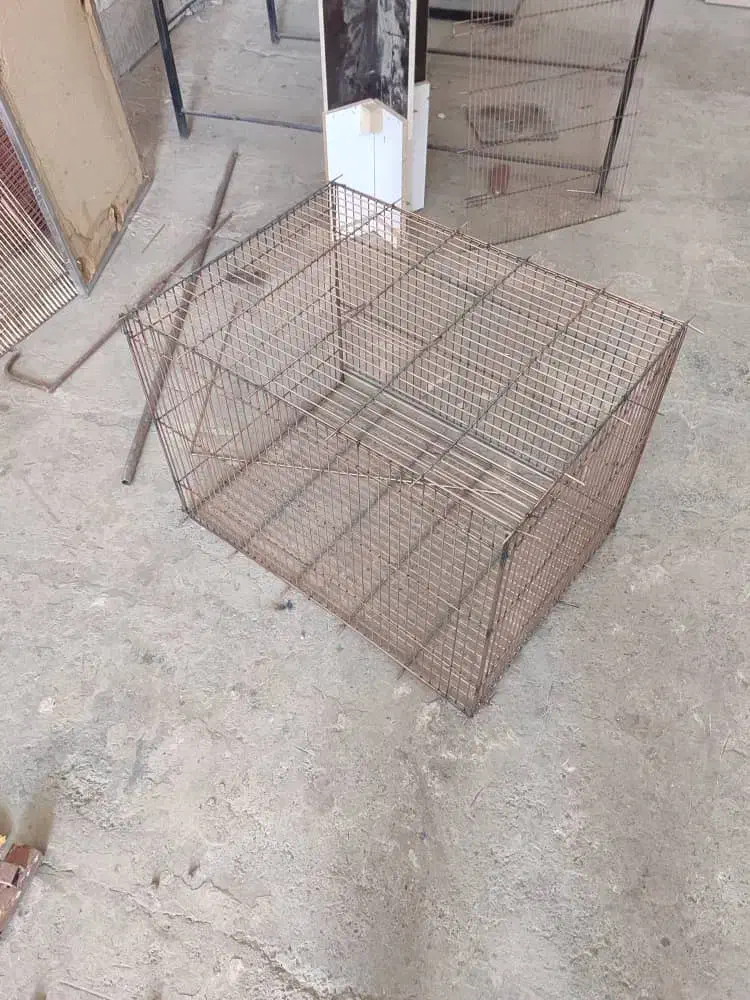 کارگاه تولید انواع قفس پرنده|لوازم جانبی حیوانات|ابریشم, |دیوار