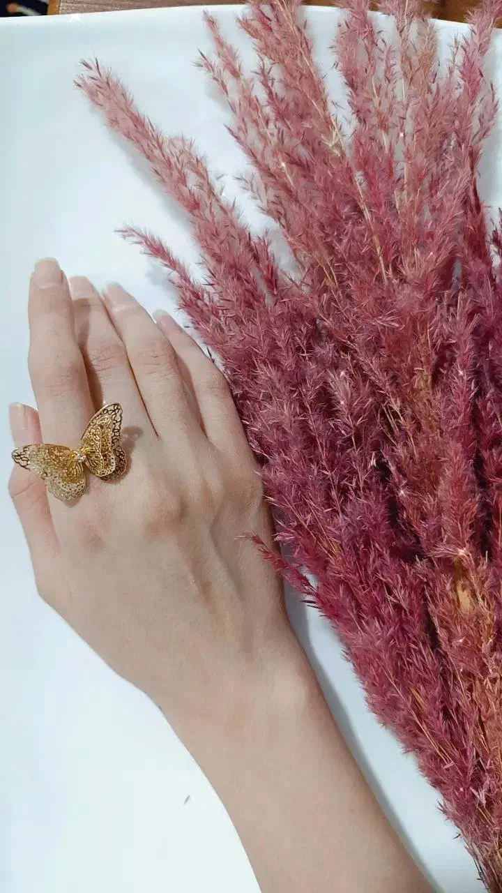 اکسسوری تک و عمده زیر ۱۰۰ت|بدلیجات|یزد, |دیوار