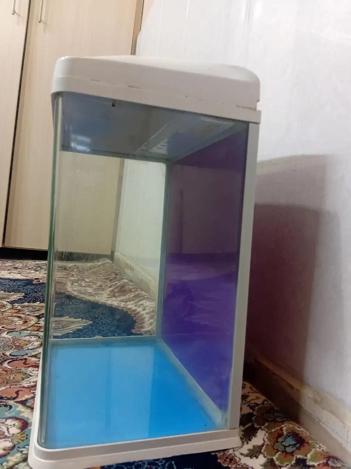 اکواریوم اکوا|ماهی|تهران, شوش|دیوار