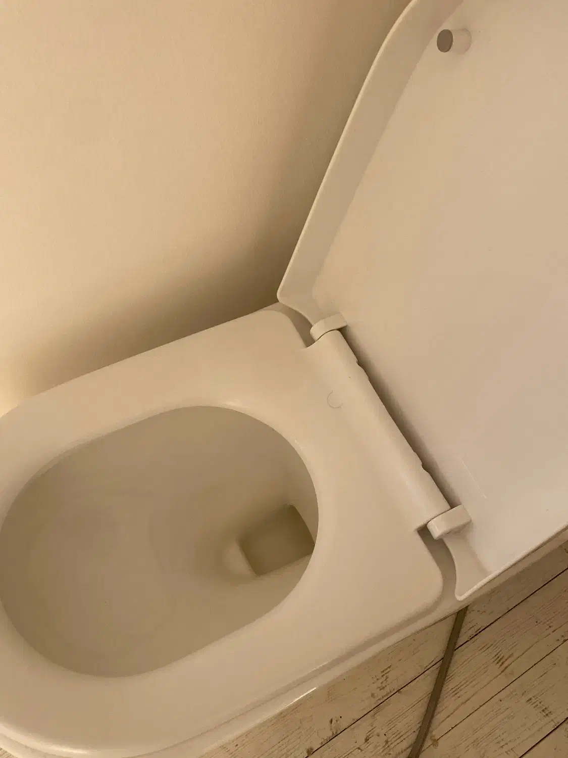 توالت فرنگی|لوازم سرویس بهداشتی|کیش, |دیوار