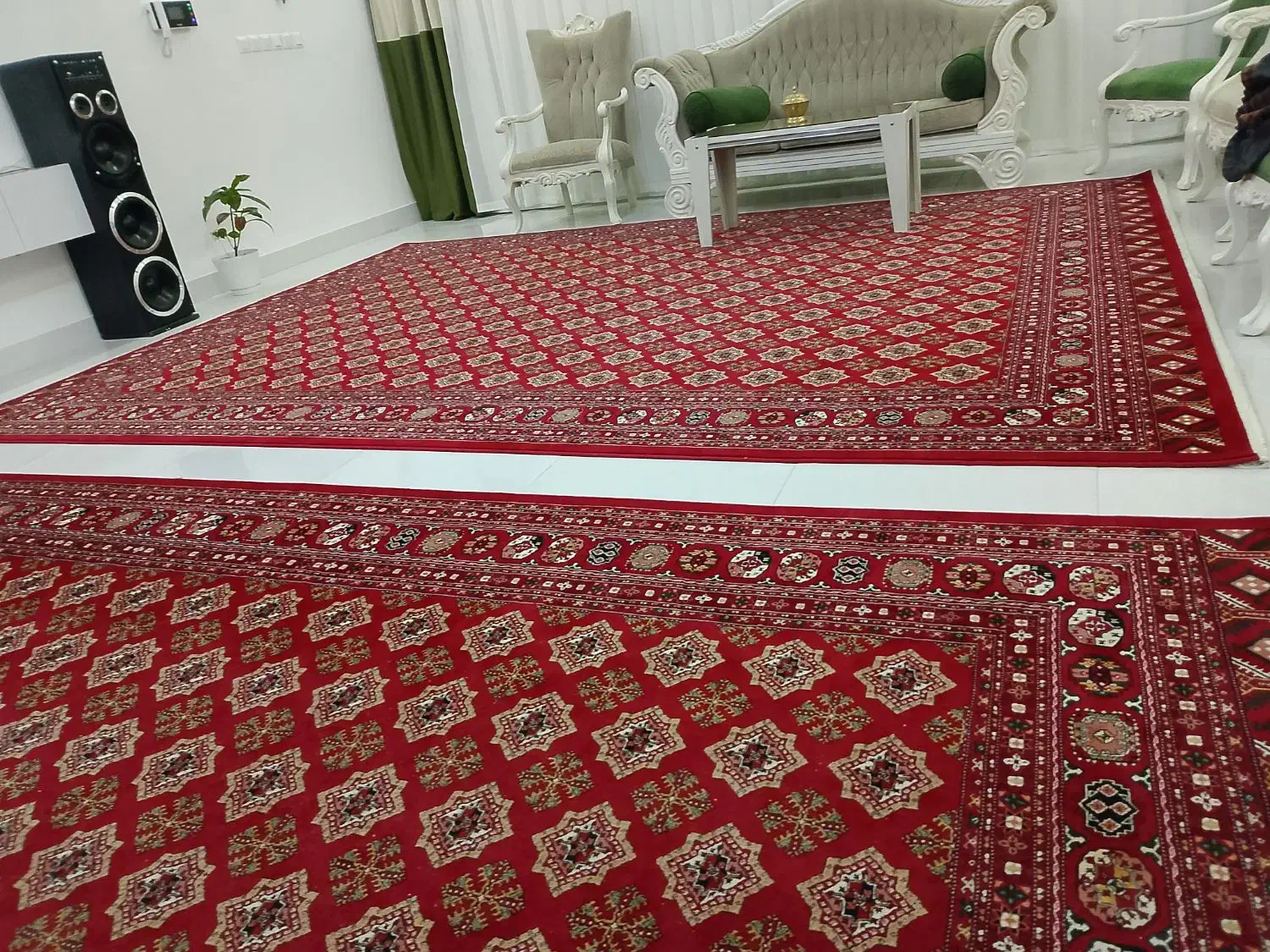 فرش|فرش|تربتحیدریه, شهرک ولیعصر|دیوار