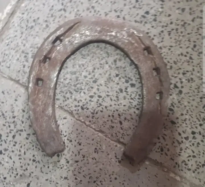 سلام به تمام عشقبازان نعل اسب پاخورده قابل استفاده|اسب و تجهیزات اسبسواری|ماهدشت, |دیوار